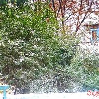 Херсон/Суворовский район/49.Г.Дивизии ул